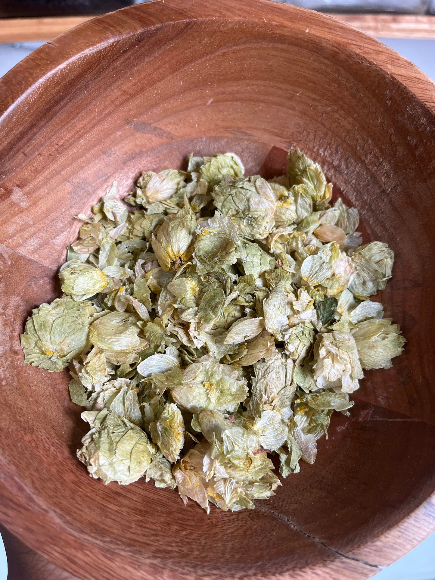 Hops (Humulus lupulus)