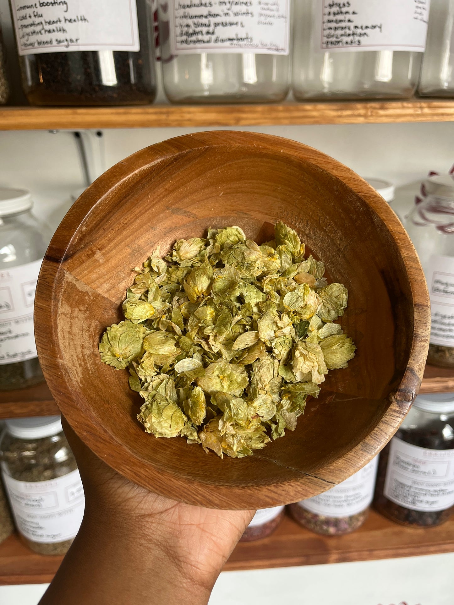 Hops (Humulus lupulus)